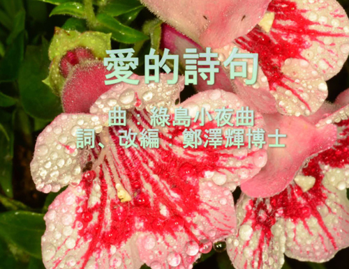 輝煌聖樂 Music Videos